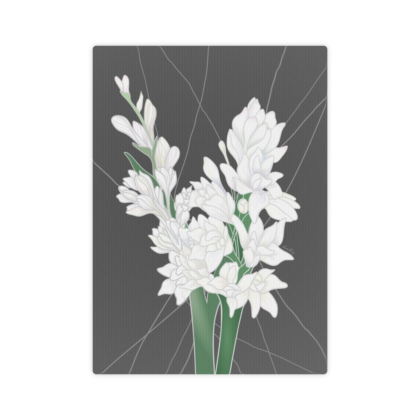 Canvas Photo Tile- Tuberose