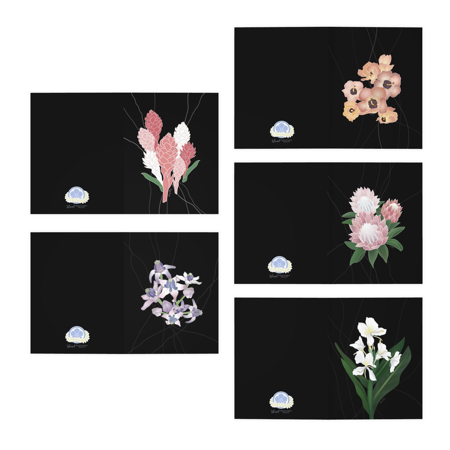 Notecard Set- Idimedley’s Favorite Florals Black Set: Hawaiian Ginger, Crown Flower, Hau Sea Hibiscus, Protea, White Butterfly Ginger, Variety Pack of 5