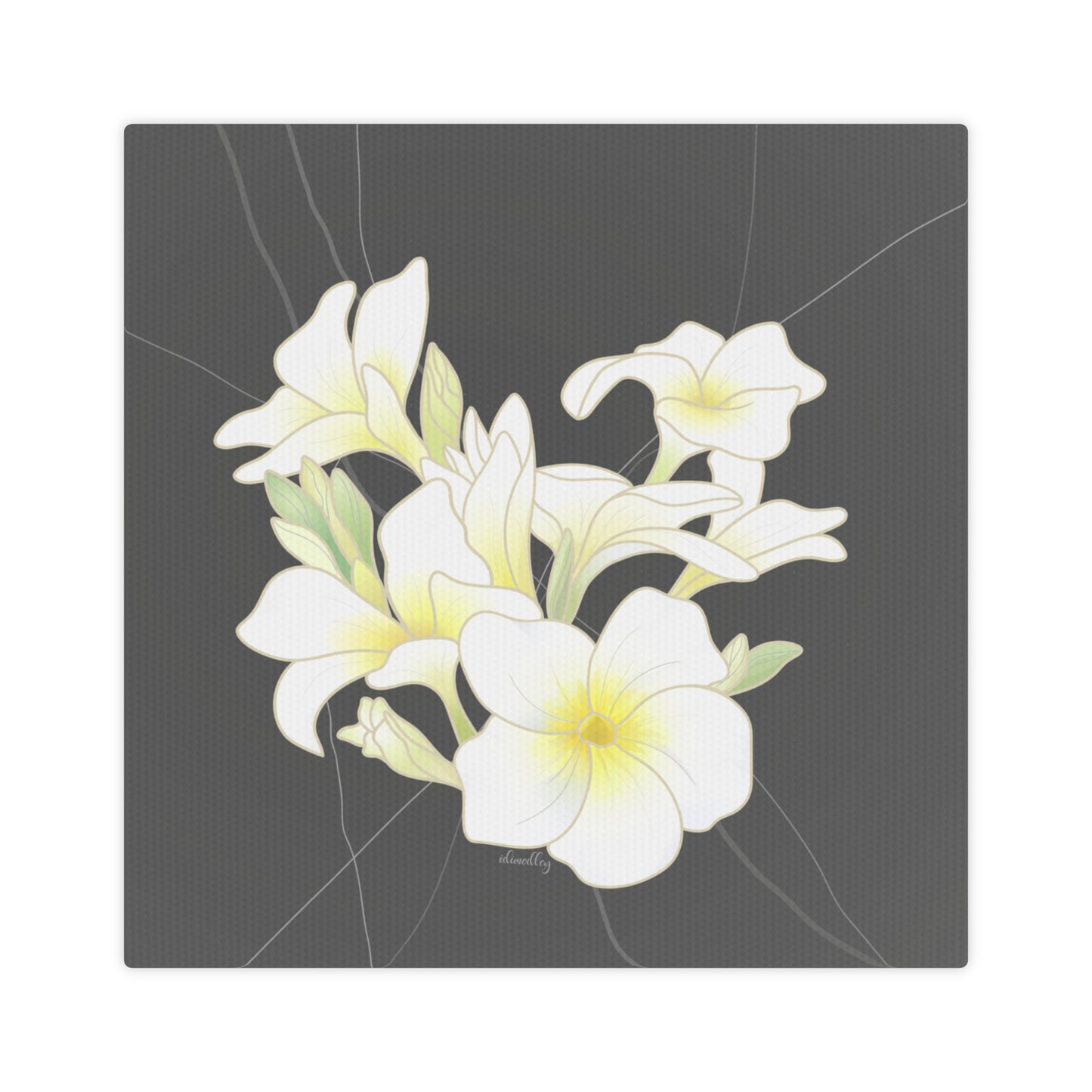 Canvas Photo Tile- Plumeria