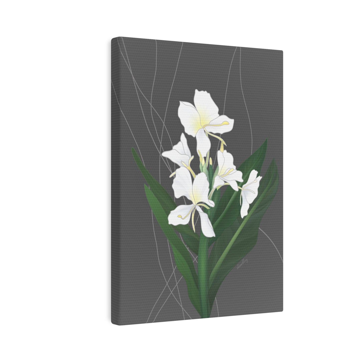Canvas Photo Tile- Awapuhi Butterfly Ginger