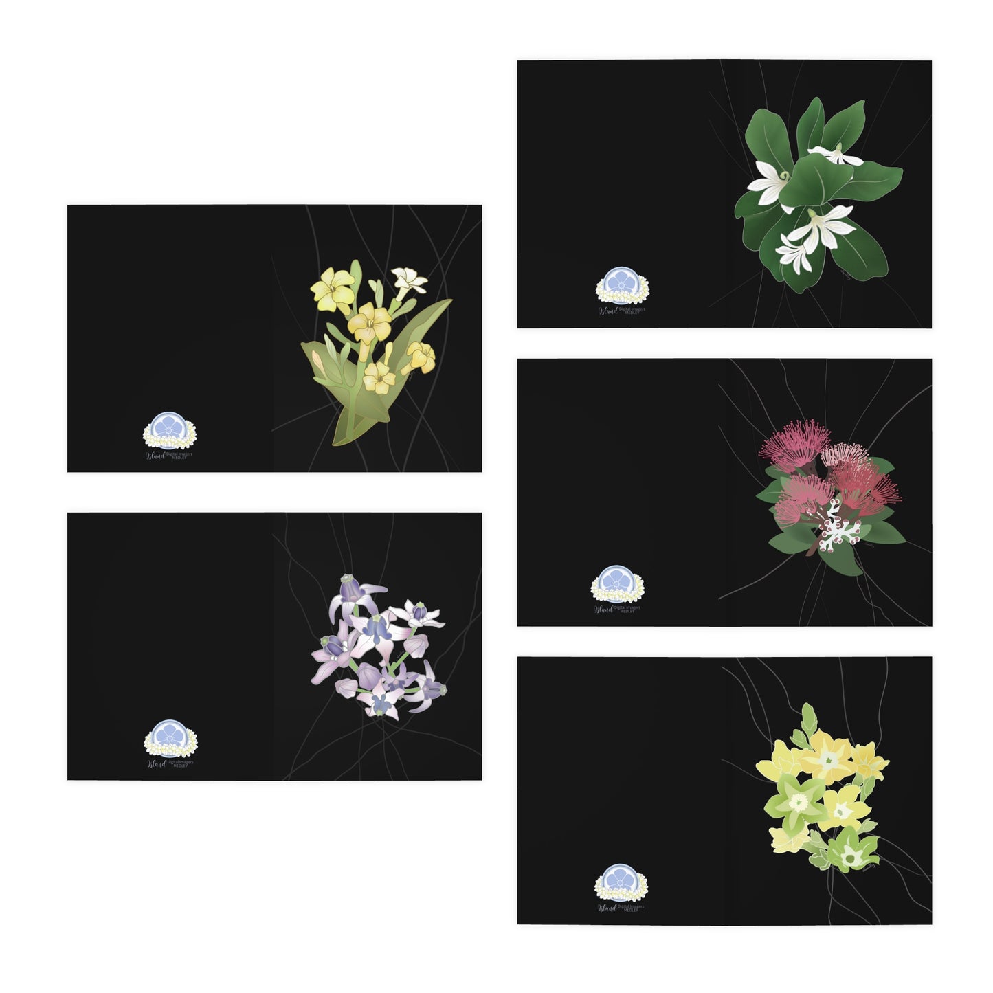 Notecard Set- Hawaii’s Favorite Florals Set 1 in Black: Puakenikeni, Crown Flower, Naupaka, Ohia Lehua, Pakalana Flowers, Variety Pack of 5
