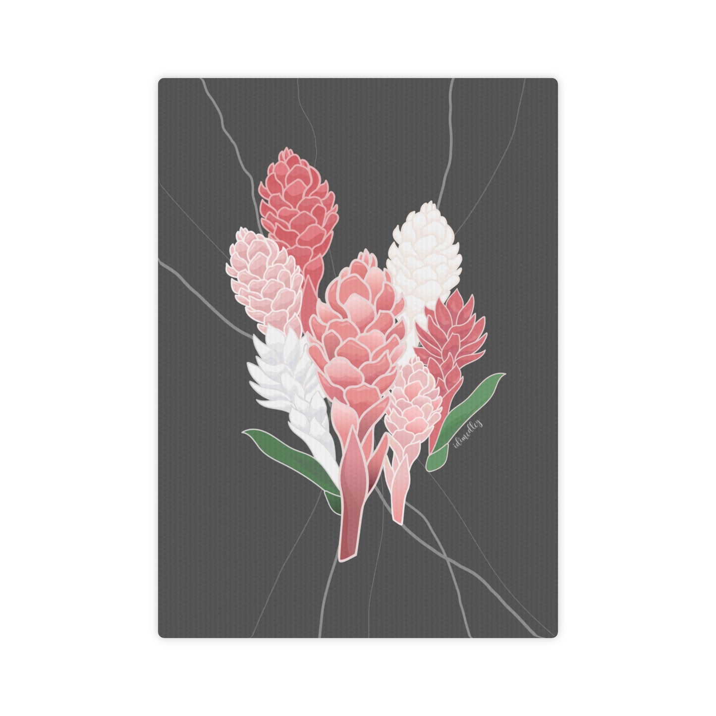 Canvas Photo Tile- Protea Flower