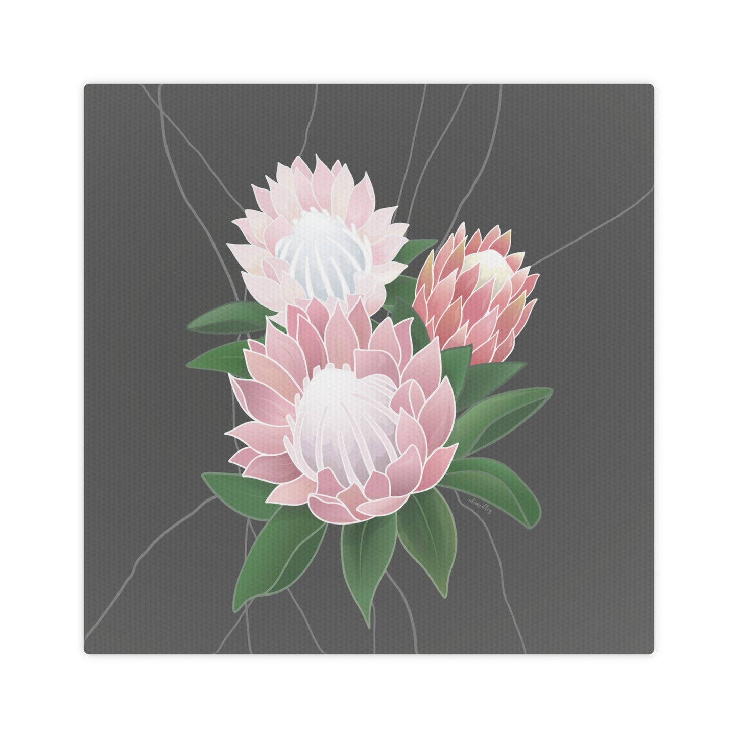 Canvas Photo Tile- Protea Flower