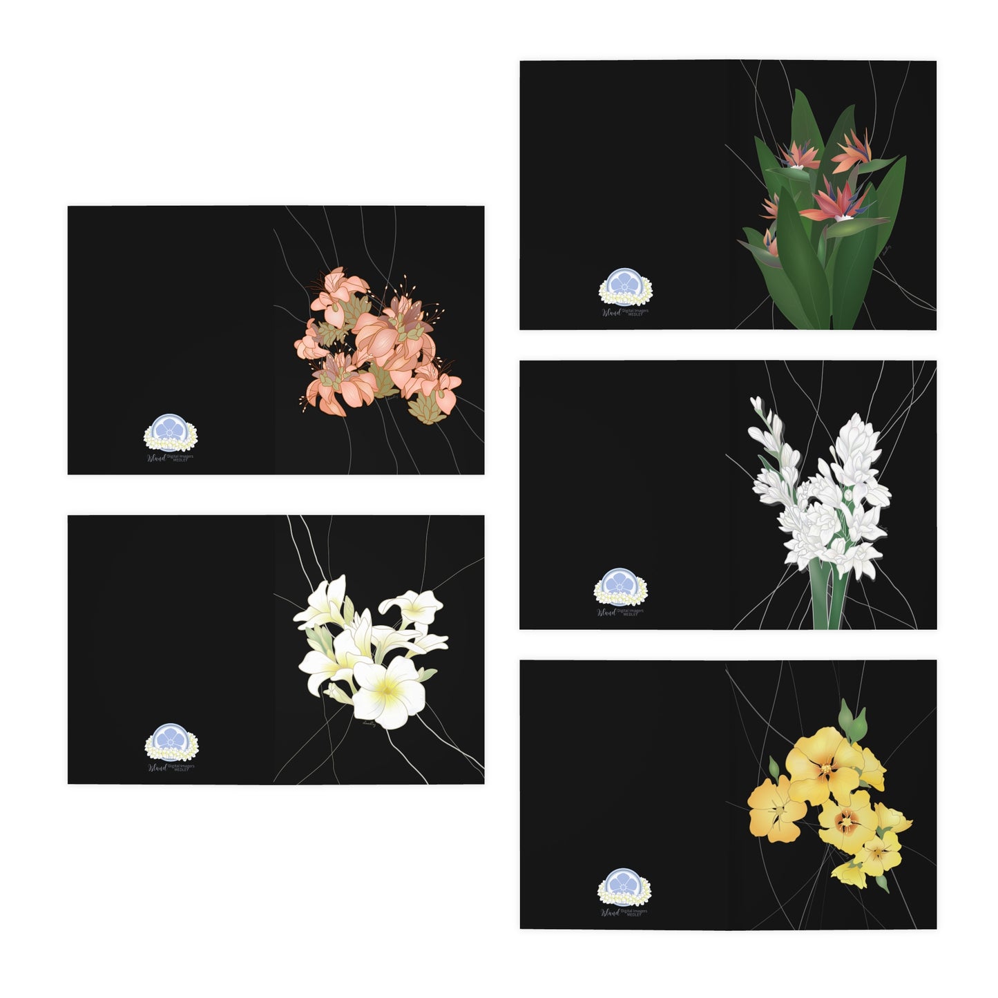 Notecard Set- Hawaii’s Favorite Florals Set 2 in Black: Wili WIli, Plumeria, Bird of Paradise, Tuberose, Ilima, Variety Pack of 5
