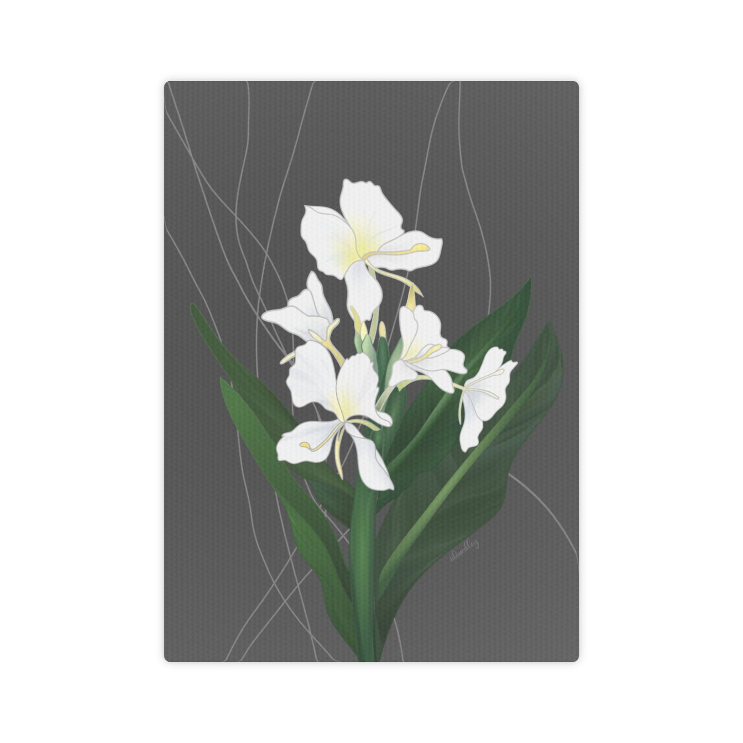 Canvas Photo Tile- Awapuhi Butterfly Ginger