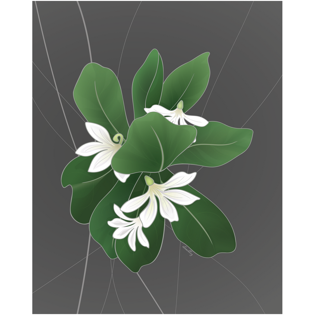 Professional Prints- Naupaka