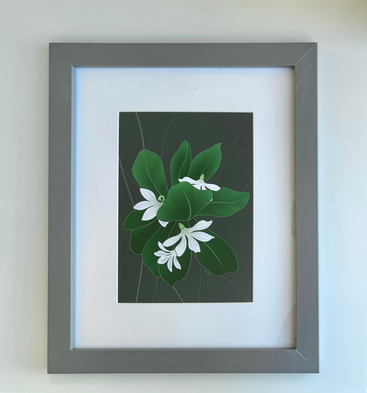 Professional Prints- Naupaka
