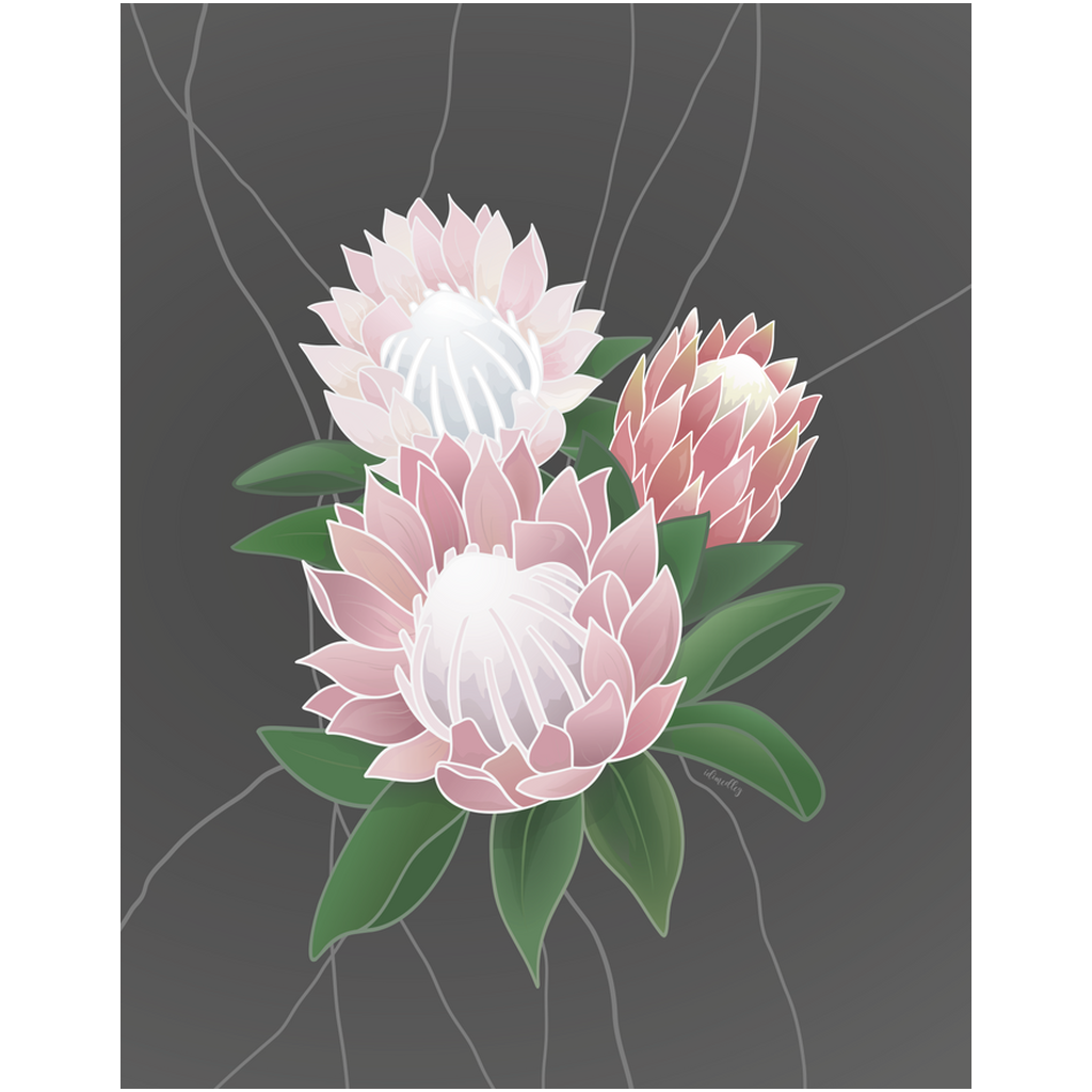 Professional Prints- Protea