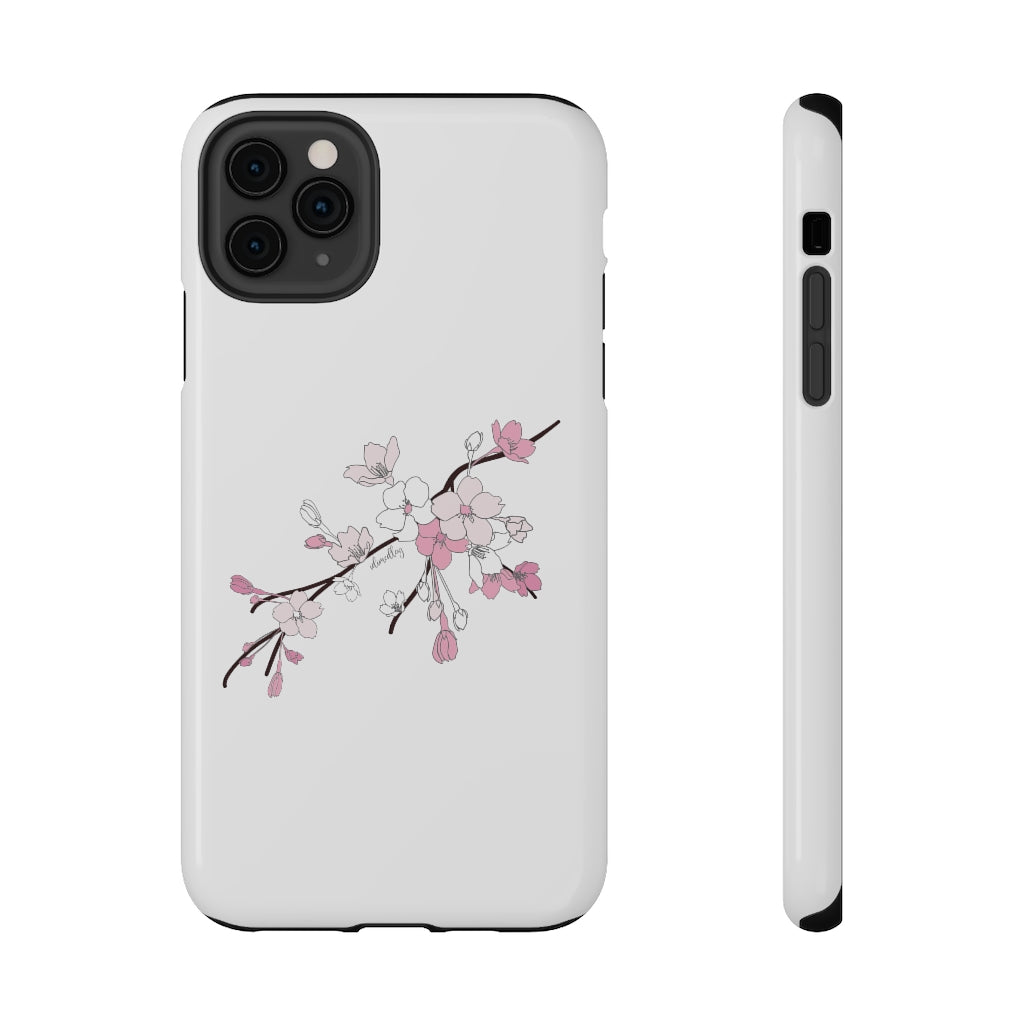 Sakura Blooms on White