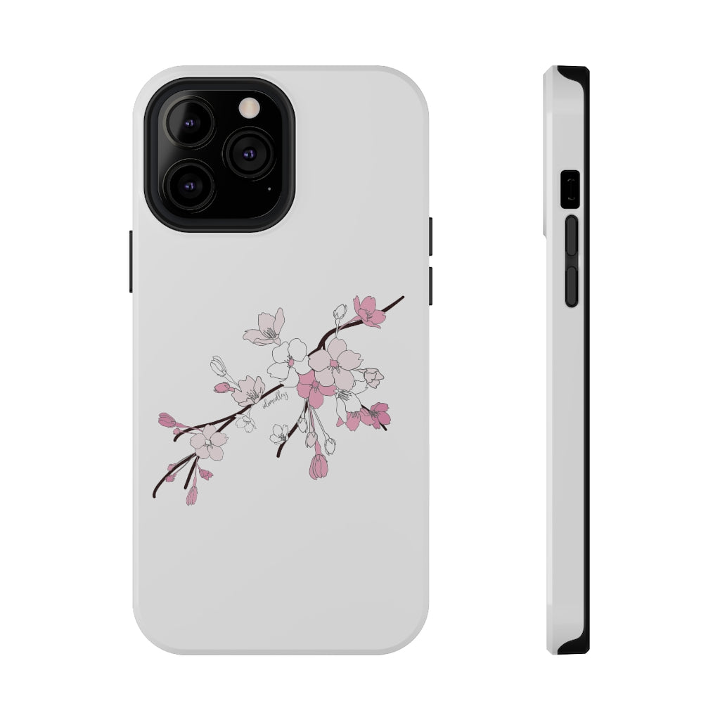 Sakura Blooms on White
