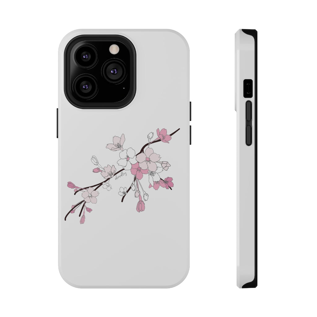 Sakura Blooms on White