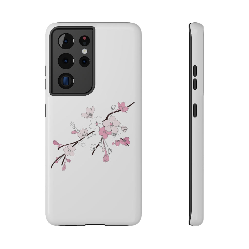 Sakura Blooms on White