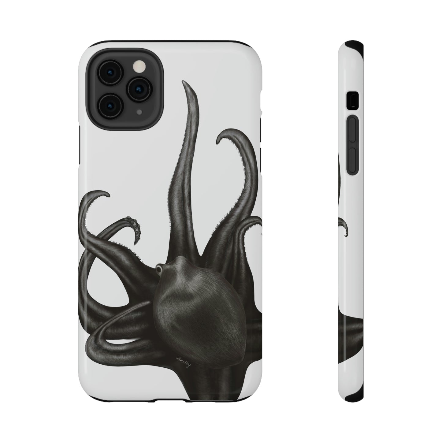 Octopus Stuck On You
