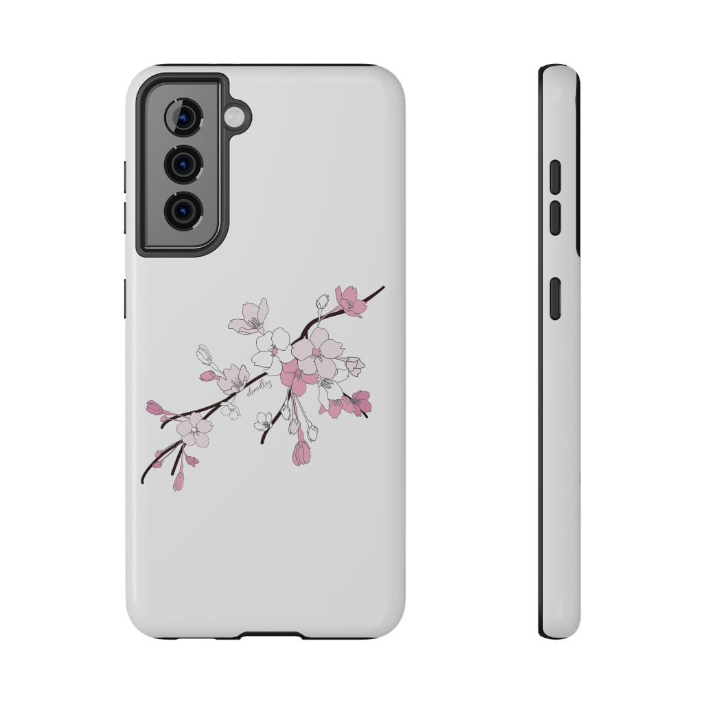 Sakura Blooms on White