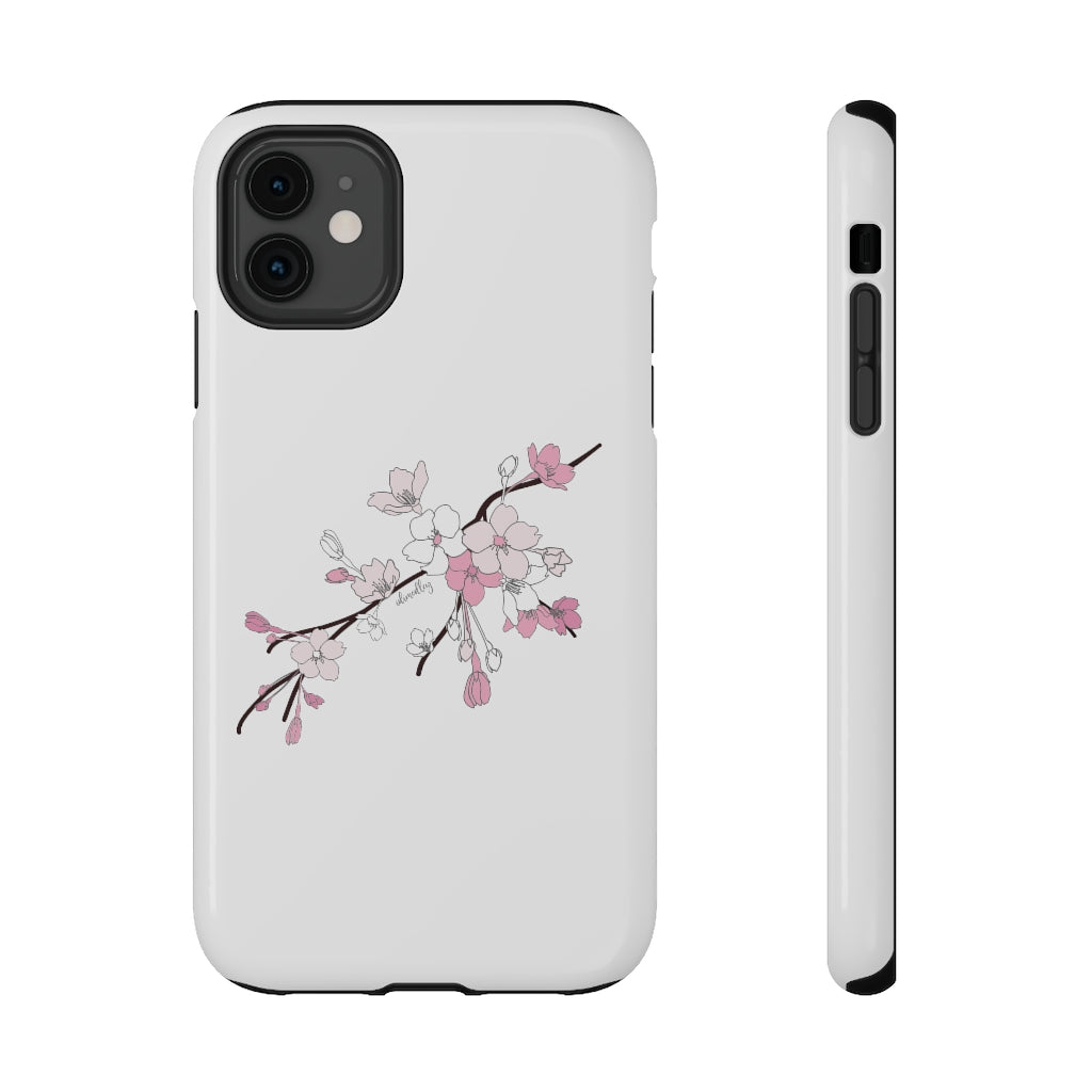 Sakura Blooms on White
