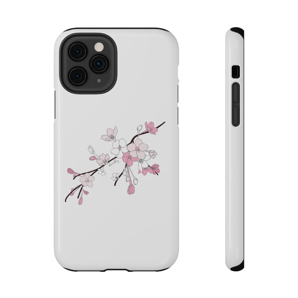 Sakura Blooms on White