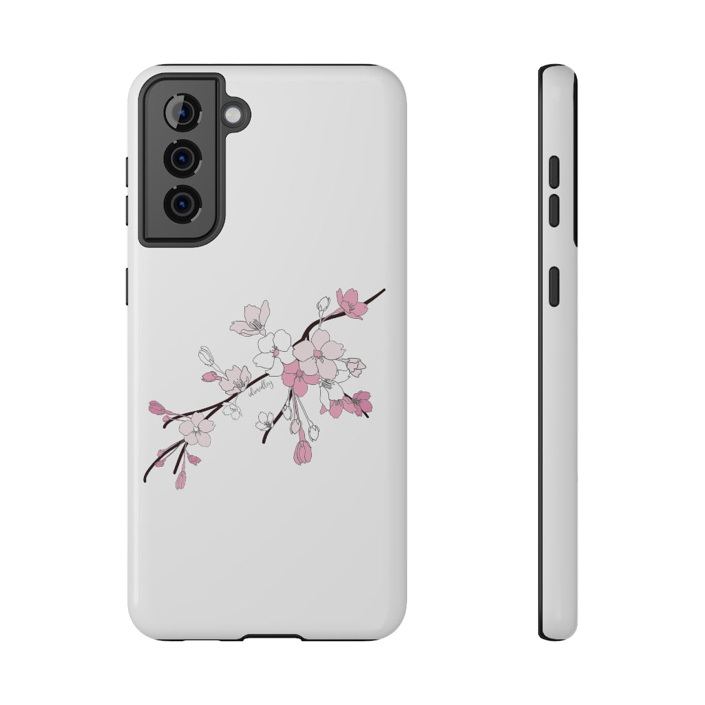 Sakura Blooms on White