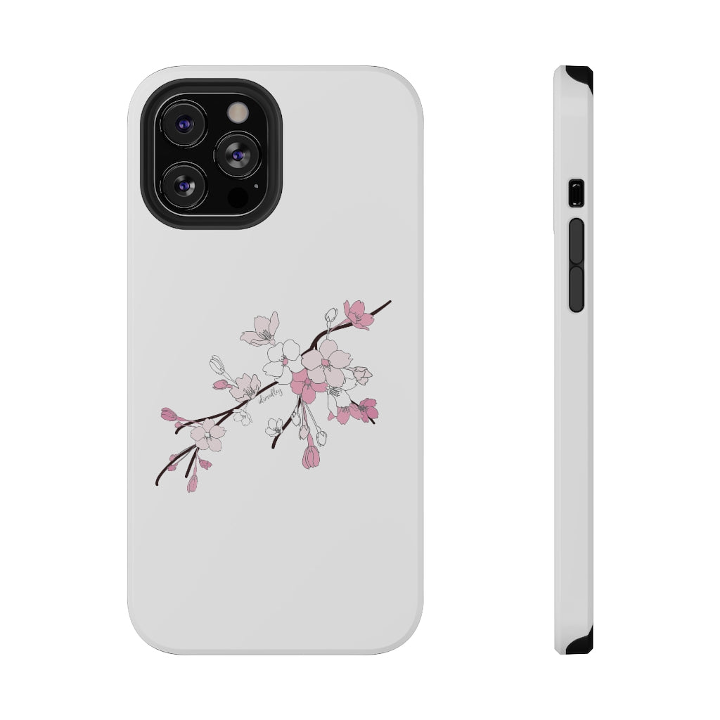 Sakura Blooms on White