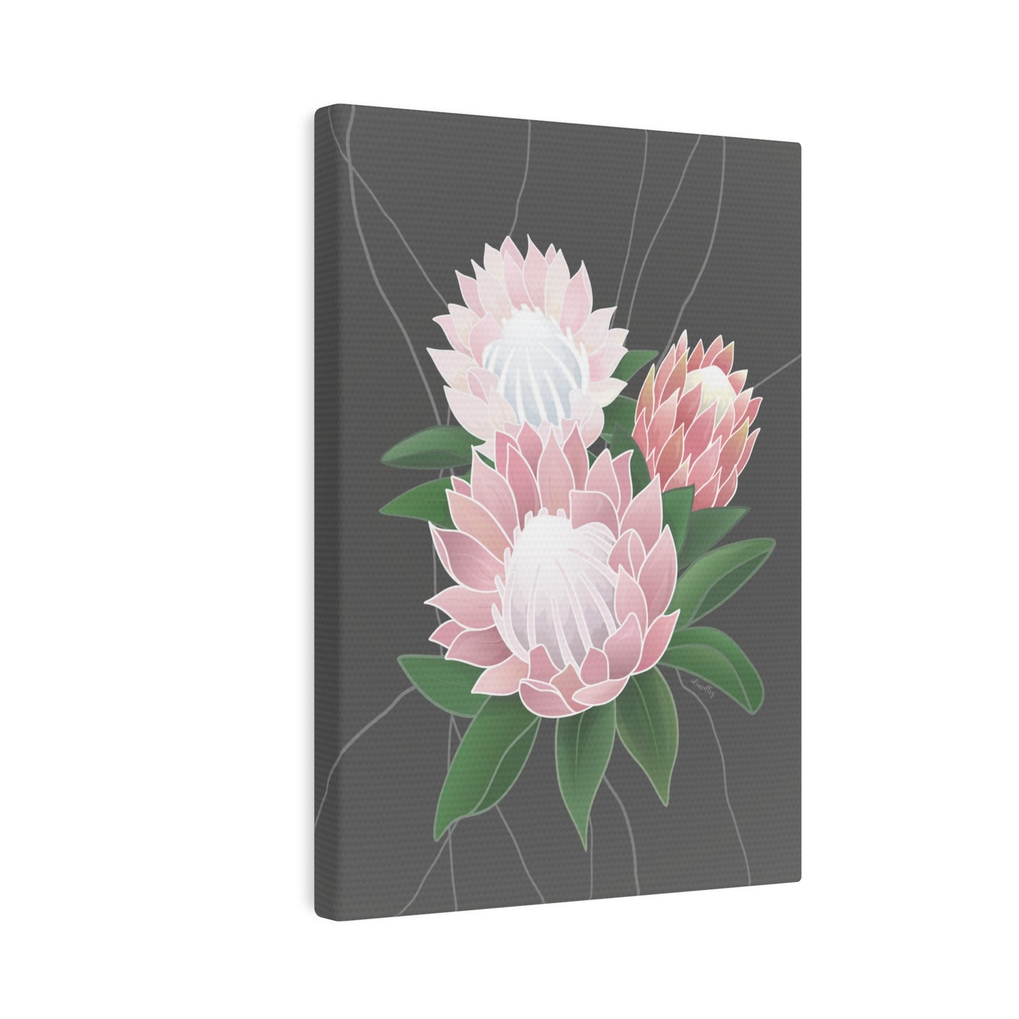 Canvas Photo Tile- Protea Flower