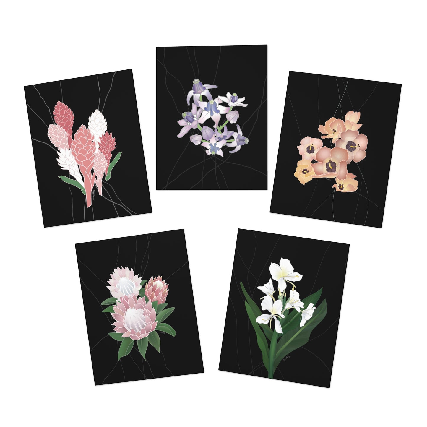 Notecard Set- Idimedley’s Favorite Florals Black Set: Hawaiian Ginger, Crown Flower, Hau Sea Hibiscus, Protea, White Butterfly Ginger, Variety Pack of 5