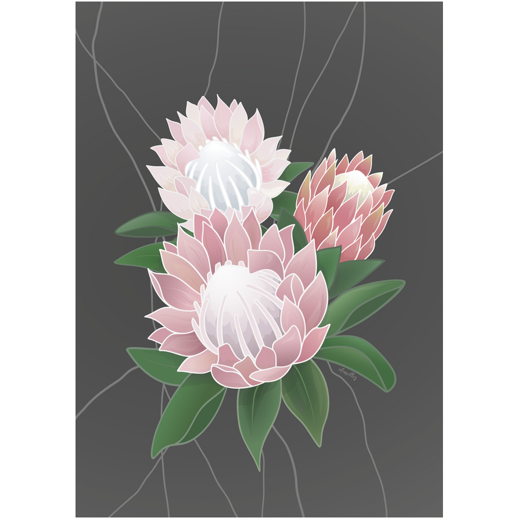 Professional Prints- Protea