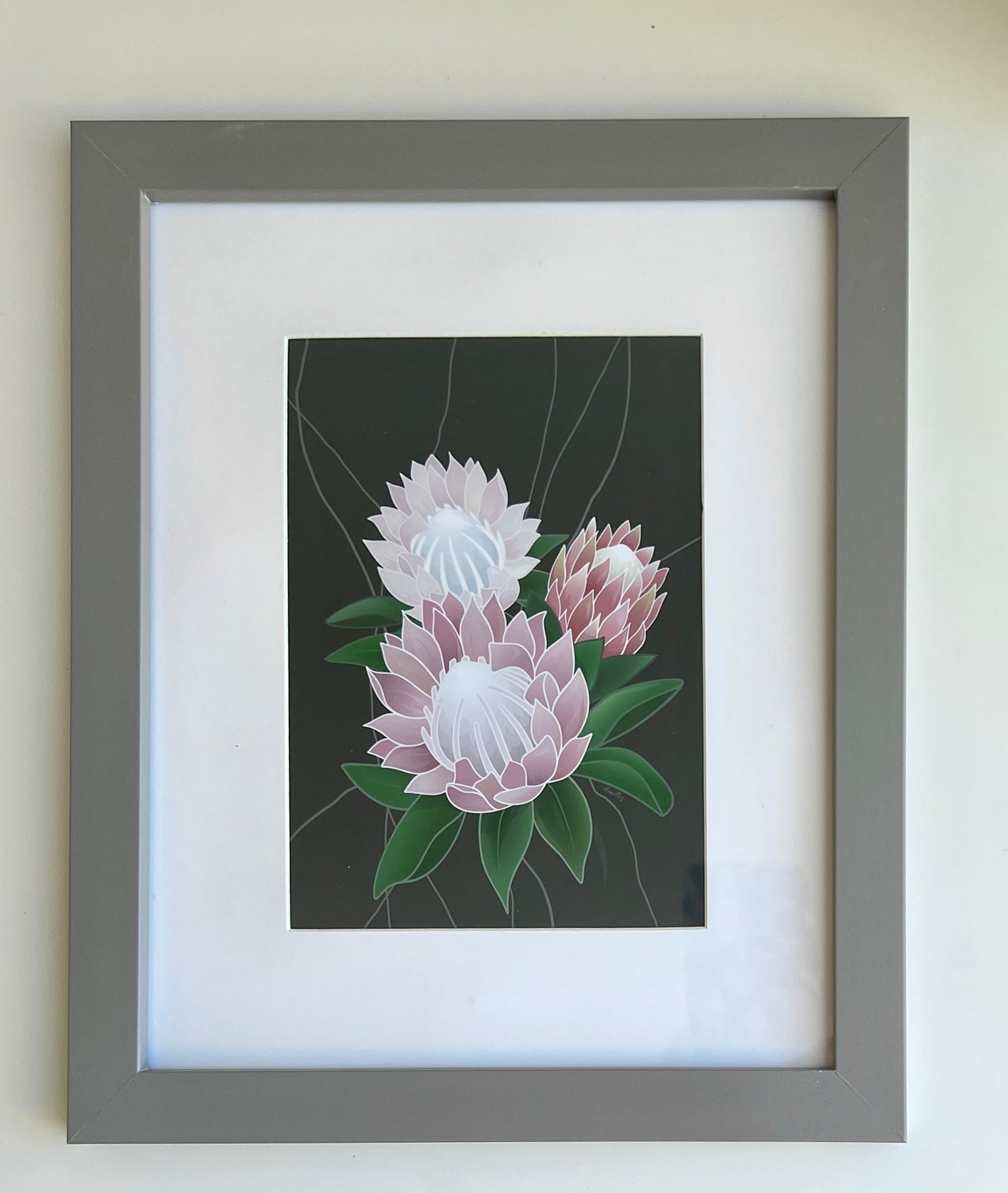 Professional Prints- Protea